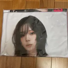 Item thumbnail for item 1c968fa8-d6df-4d1f-9eea-f0a911eb9067