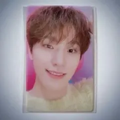 SEVENTEEN DREAM Weverse クリアフォトカード DINO