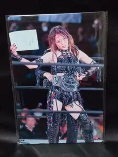 スターダム スポーツ選手