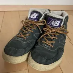 Item thumbnail for item 3b5d469f-6880-4888-81a7-db7eb4beaa31