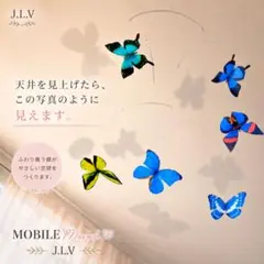 超蝶 ブルーモルフォ - メルカリ