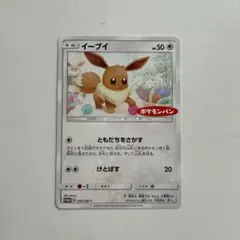2025年最新】イーブイ ポケモンパン プロモの人気アイテム