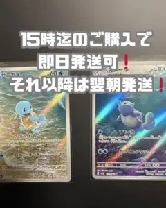 2025年最新】ゼニガメ ar カメールの人気アイテム - メルカリ