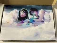 櫻坂46 自業自得 Type-E フォトパネル 櫻坂46 自業自得 Type-E フォトパネル - メルカリ