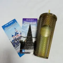 インスタ大人気❤️ アナハイム カリフォルニア　ディズニー タンブラー　スタバ