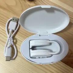 Item thumbnail for item 11b4fae8-a5f0-4573-b771-71851c3c1729