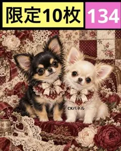 限定10枚！　レアパネル生地　無くなり次第終了です　6犬種パネル