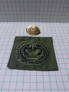 アメリカ軍。米軍実物。練兵軍曹章