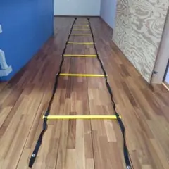 Item thumbnail for item ee0b451f-1143-48f5-8669-0dccbe5ed3dd