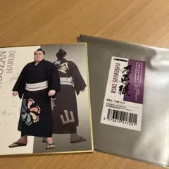 Item thumbnail for item 8c6b9f93-91ac-41e3-89ec-b4705b26b5bb