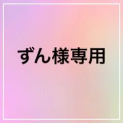 【専用ページ作ります！】色違い ミライドン コライドン