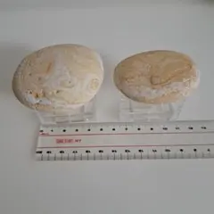 ♐ギリシャ産⭐天然石☘️クレタンクォーツ❄神話♊宝石♎魔法 