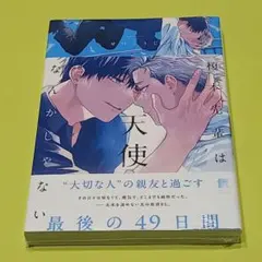 榎本先輩は天使なんかじゃない せつこうじ