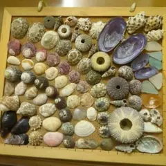 Item thumbnail for item f2c0466e-588b-4fde-9b5f-69d3293aaad8