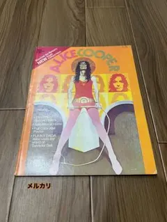 【ポスター完品・極美品】アリス・クーパー 1973年 ⭐︎ヴィンテージ雑誌⭐︎希少