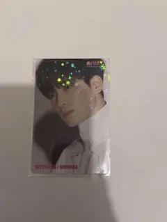 SEVENTEEN DIRECTOR'S CUT ウォヌ HMV トレカ 特典