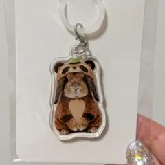 たれみみ稲荷チャーム