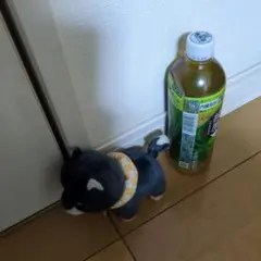 豆柴ぬいぐるみ（オレンジバンダナ付き）