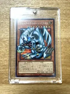 遊戯王 ブルーアイズ・トゥーン・ドラゴン 完全なる世界トゥーン