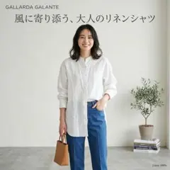 ガリャルダガランテ リネン混 バックレース バンドカラーブラウス 白 Fのサムネイル