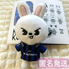 straykids スキズ KARMA skzoo ver. リービット リノ