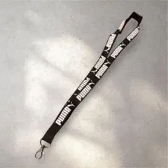 Item thumbnail for item 6c137fdd-307a-4f7a-863b-9ad7940fd810