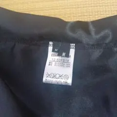 Item thumbnail for item 8d1533d9-20a8-4811-9cae-05e9897d28bf