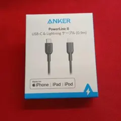 タイプc Lightningケーブル