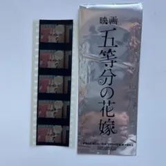 五等分の花嫁　映画特典　フィルム 五等分の花嫁＊」入場特典は大人になった5つ子を描いたミニ色紙