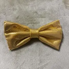 キラキラ蝶ネクタイ