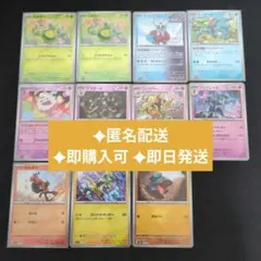 テラスタルフェスex　マスターボールミラー　まとめ売り　sv8a