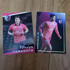 セレッソ大阪 選手カードセット 2枚