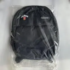 SPALDING ケイジャー 40-007PA ミント 32L - メルカリ