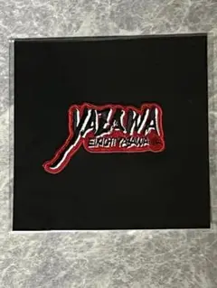 矢沢永吉 ミュージシャン