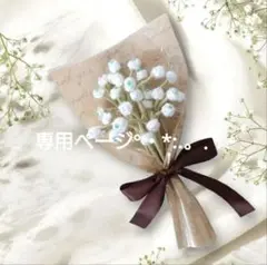 かこ様専用ページ°・*:.。.☆②