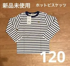 【新品、未使用】ホットビスケッツ　サイズ120 白/紺ストライプ クマ刺繍