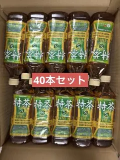 サントリー 伊右衛門 特茶 500ml 40本セットのサムネイル