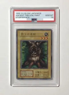 遊戯王 悟りの老樹 PSA10 初期 STARTER BOX【1999年物】 2025年最新】悟りの老樹の人気アイテム - メルカリ