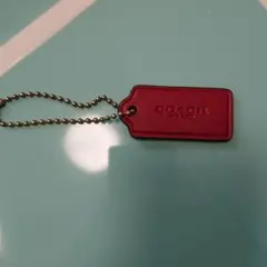 バッグチャームコーチ アクリルチャーリーブラウンオマケ