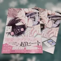 Item thumbnail for item 9d1d6d54-fd40-4c47-854a-e374d33b30ab