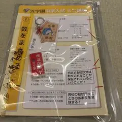 浜学園 中学入試 ミニ講座等　フルセットのサムネイル