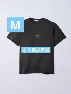 Calvin Klein JUNG KOOK CKCJ モノロゴTシャツ S - メルカリ