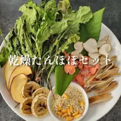 Item thumbnail for item 0671fd9d-7a64-4b4f-9623-edc9fb3bce22