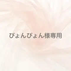ぴょんぴょん様専用