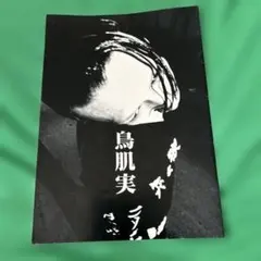 2025年最新】鳥肌実の人気アイテム - メルカリ