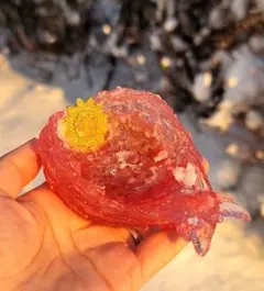 うさねこ16様 リクエスト 2点 まとめ商品