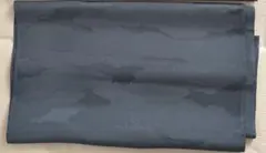 Item thumbnail for item 43ec4255-8813-4d62-b5a5-1bffcd3744a2