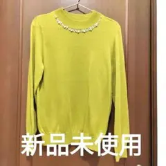 earth music&ecology ビジュー付ニット M　マスタードイエロー