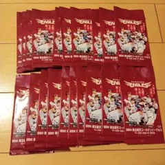 カルビッシュ様 リクエスト 2点 まとめ商品