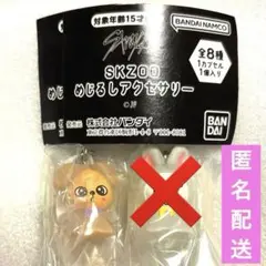 【匿名配送】 skzoo めじるしアクセサリー　スキズ　パピーム